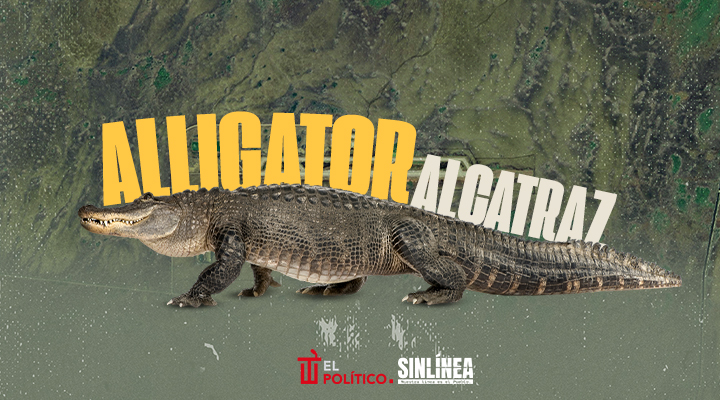 Alligator Alcatraz: nueva prisión de Trump para migrantes