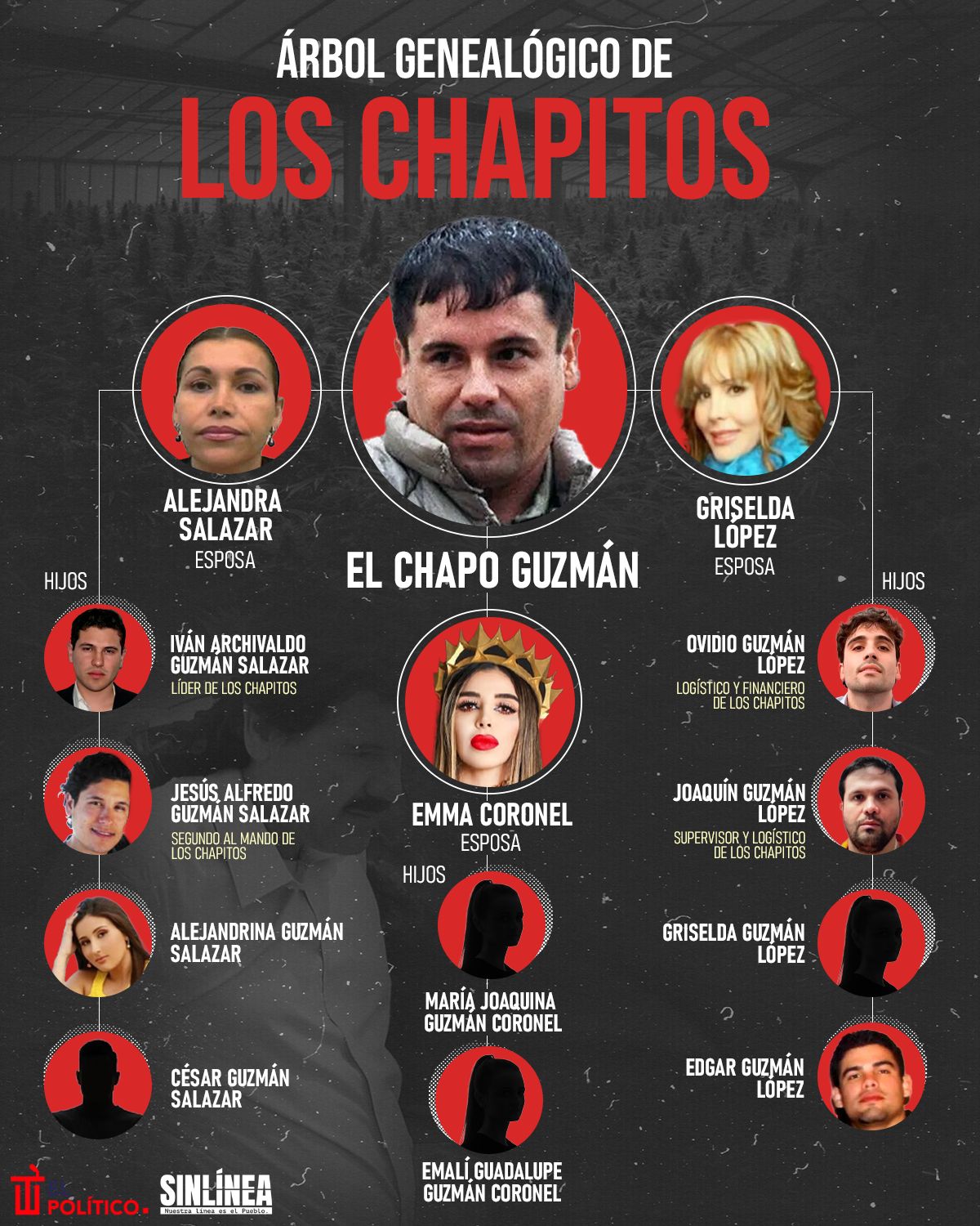 Infografía el árbol genealógico de Los Chapitos 