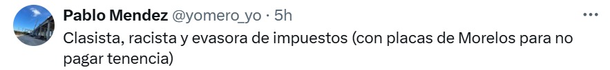 Lady Racista, clasista y evasora