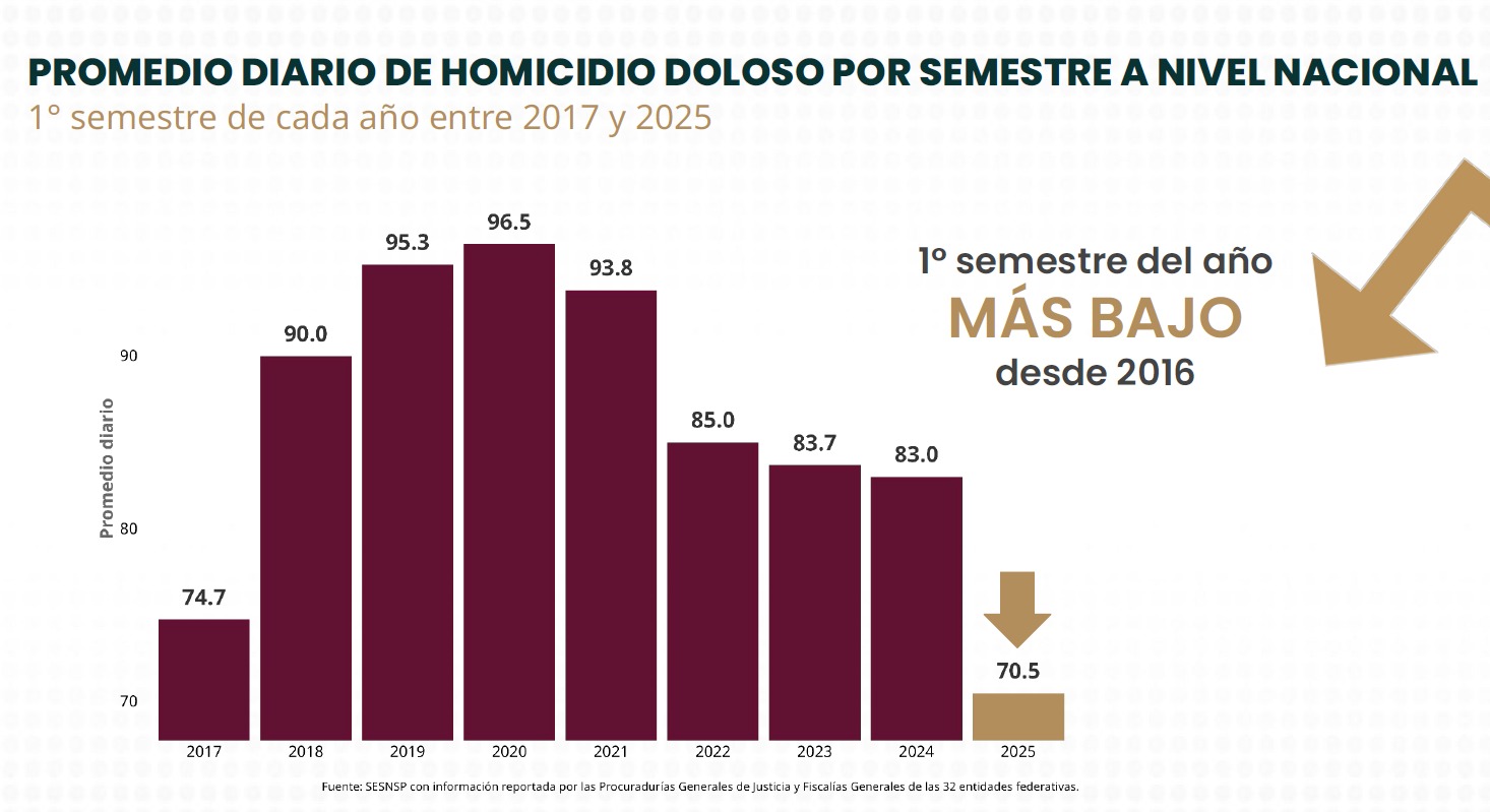 Seguridad por semestre
