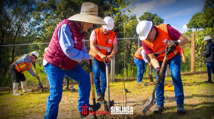 Ayuntamiento de Puebla realiza acciones de producción de composta para reforestación