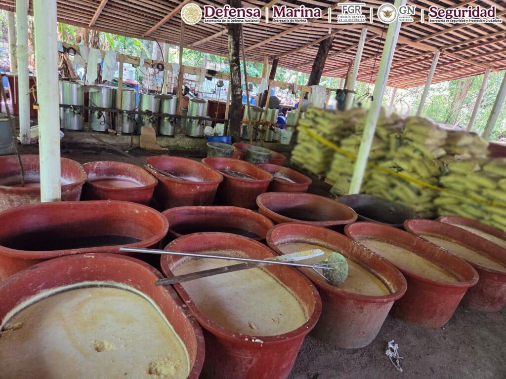 Decomiso en Chiapas, agosto 2025
