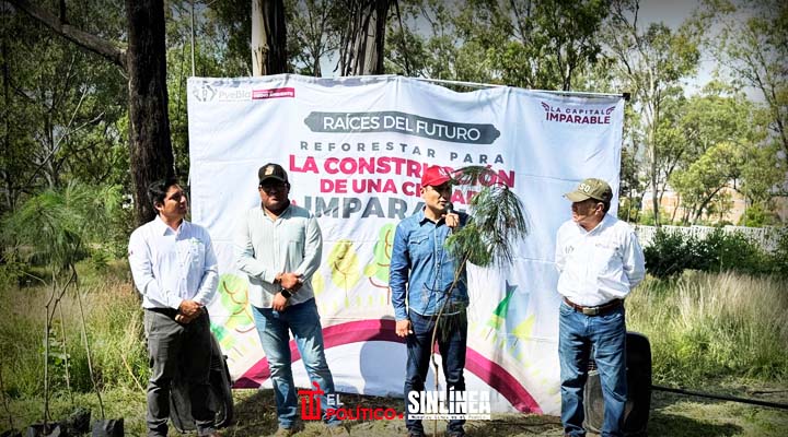 Gobierno de la Ciudad planta 520 árboles en zonas estratégicas