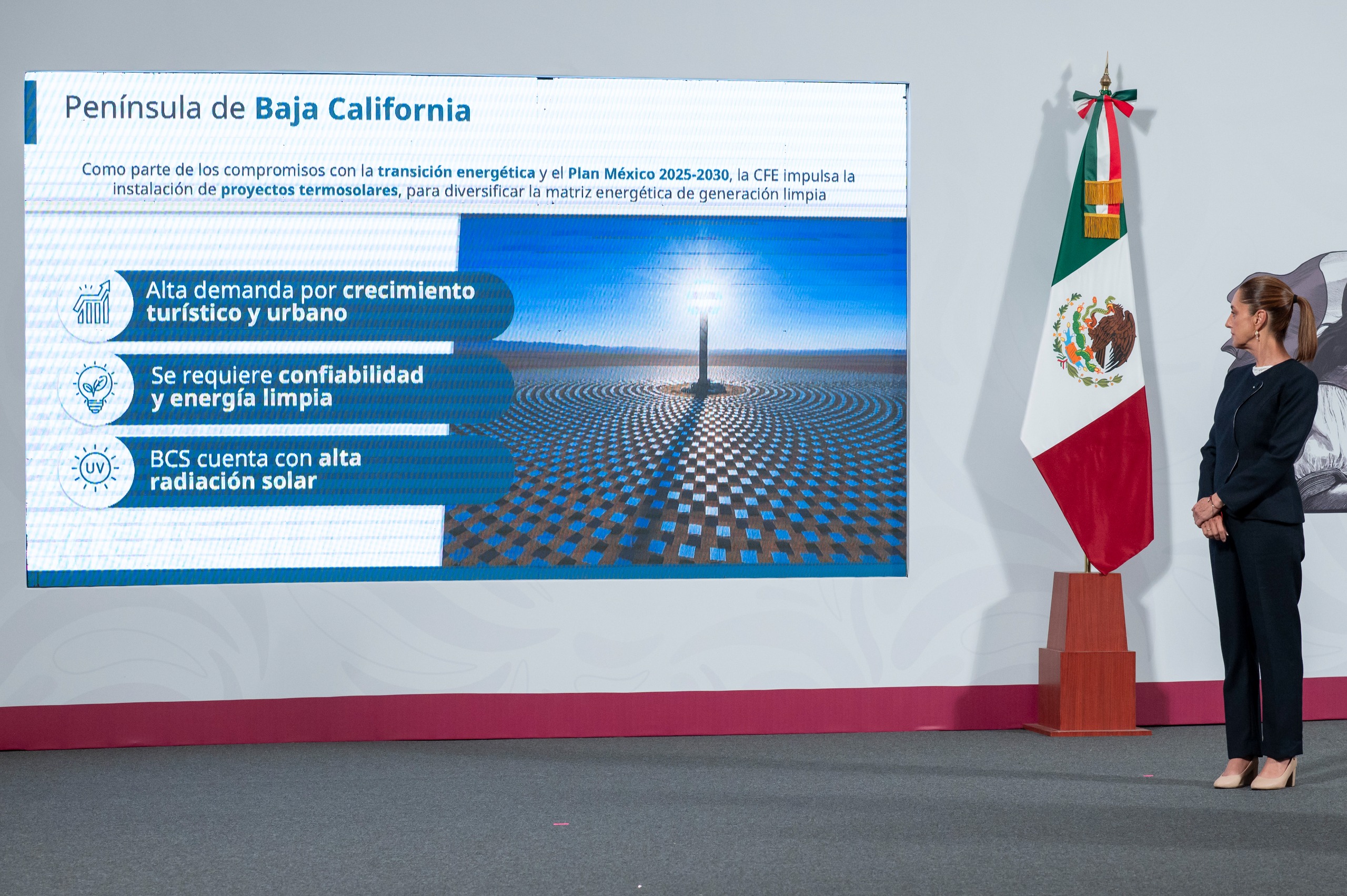 Gobierno y proyecto en BCS