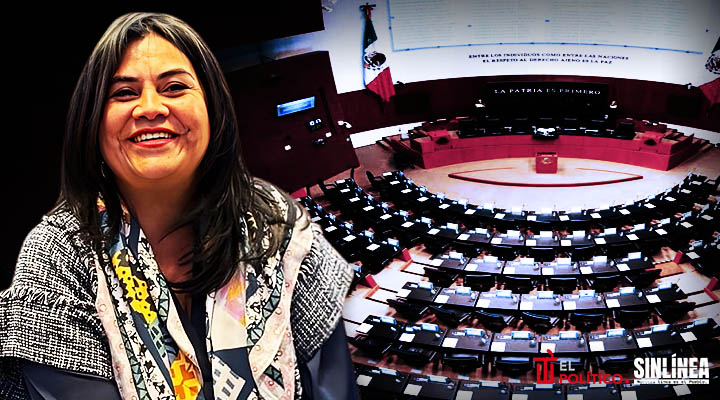 Guadalupe Chavira buscará presidencia del Senado