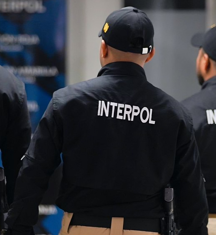 Interpol emite ficha roja para Zhi Dong Zhang, ligado al CDS