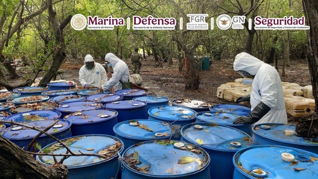 Marina operativo Nayarit