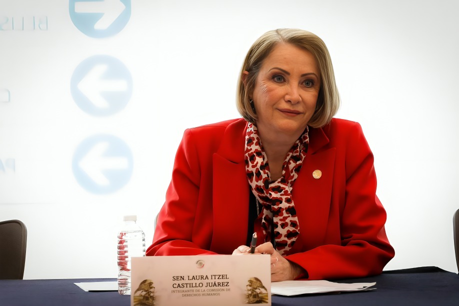 Quién es Laura Itzel Castillo