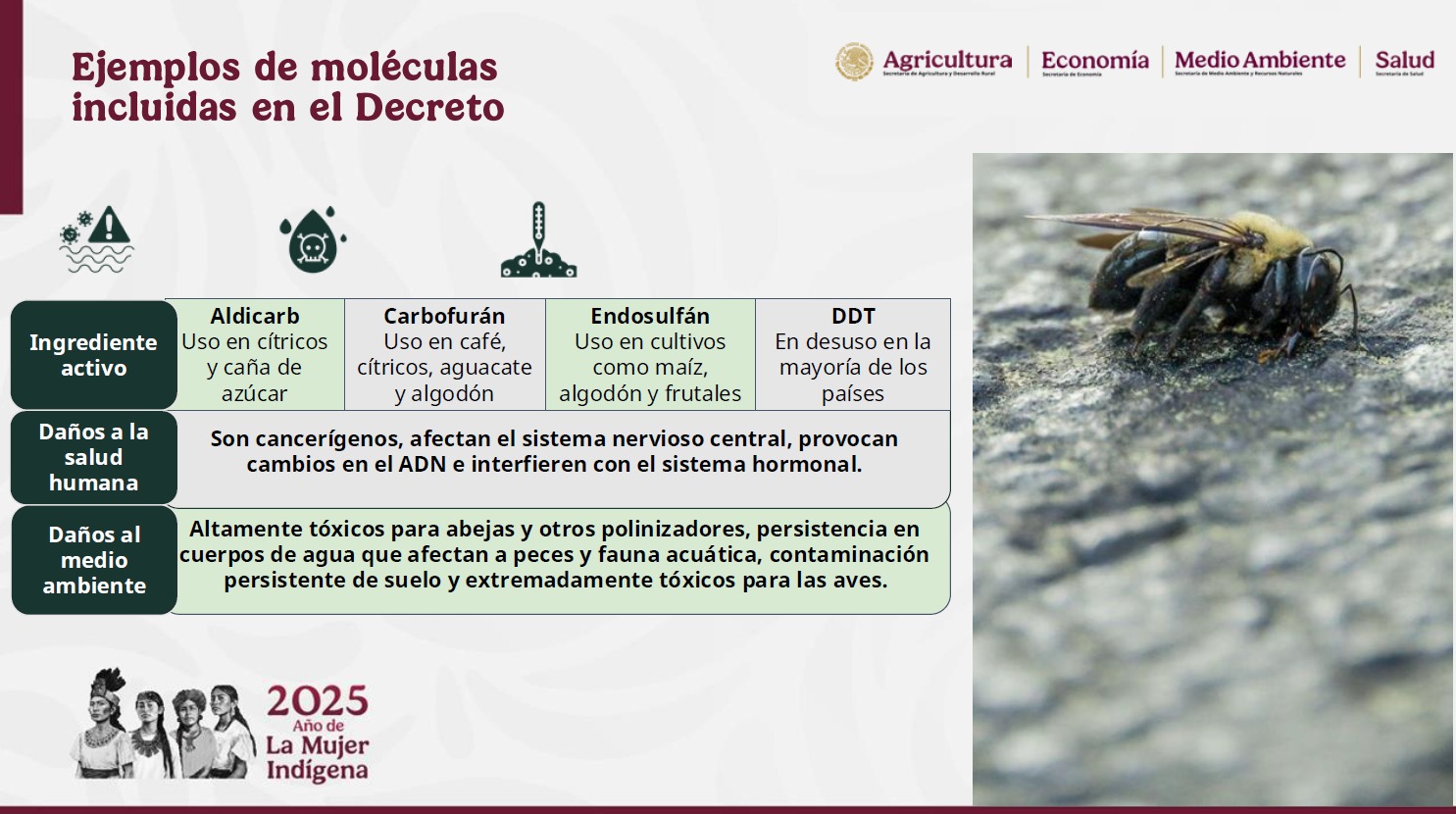 Anuncio México plaguicidas