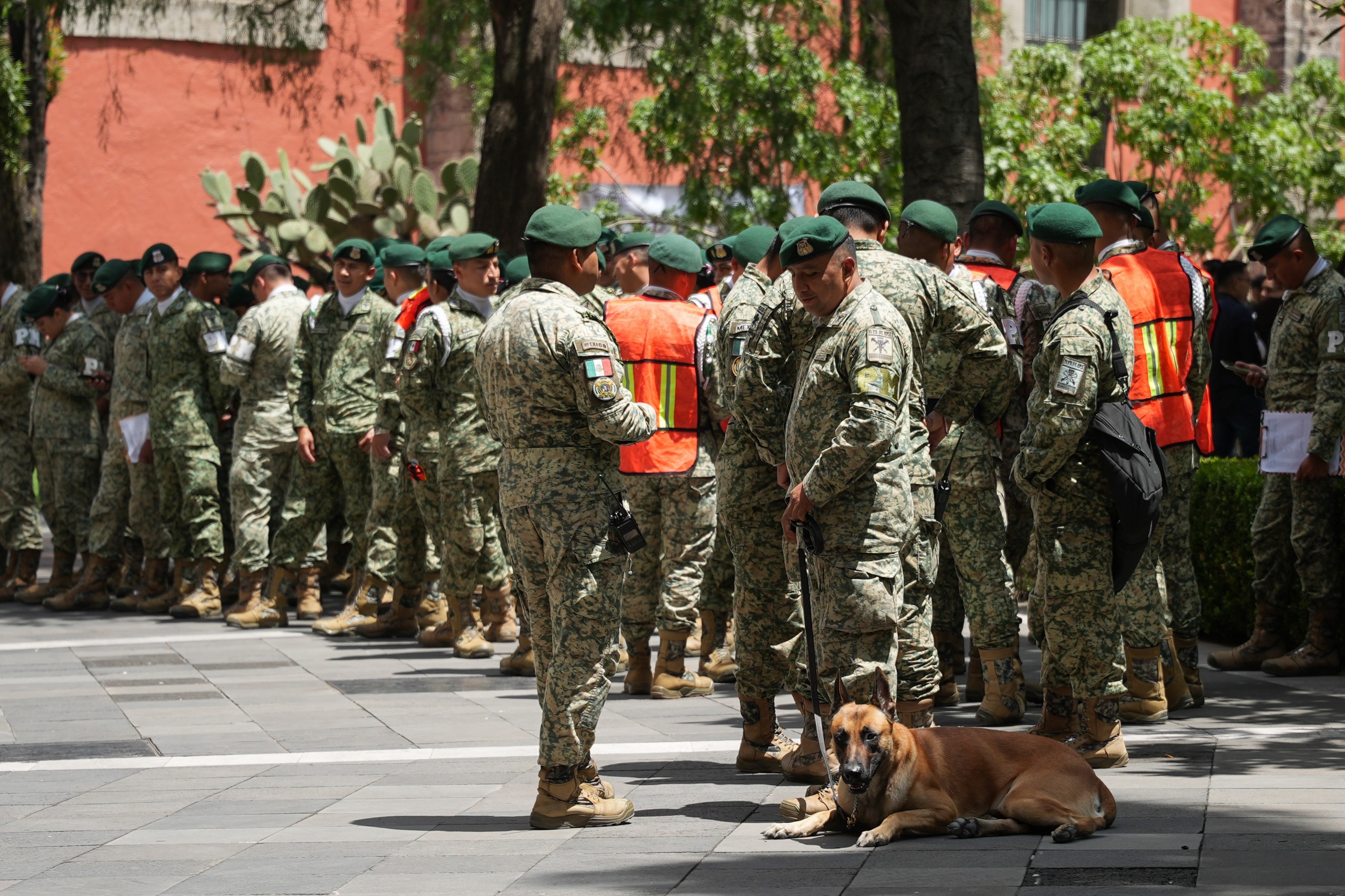 Así se vivió el Segundo Simulacro Nacional 2025 en México