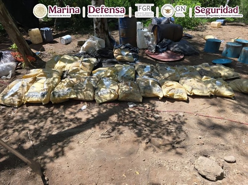 Autoridades decomisan 550 kilos de droga
