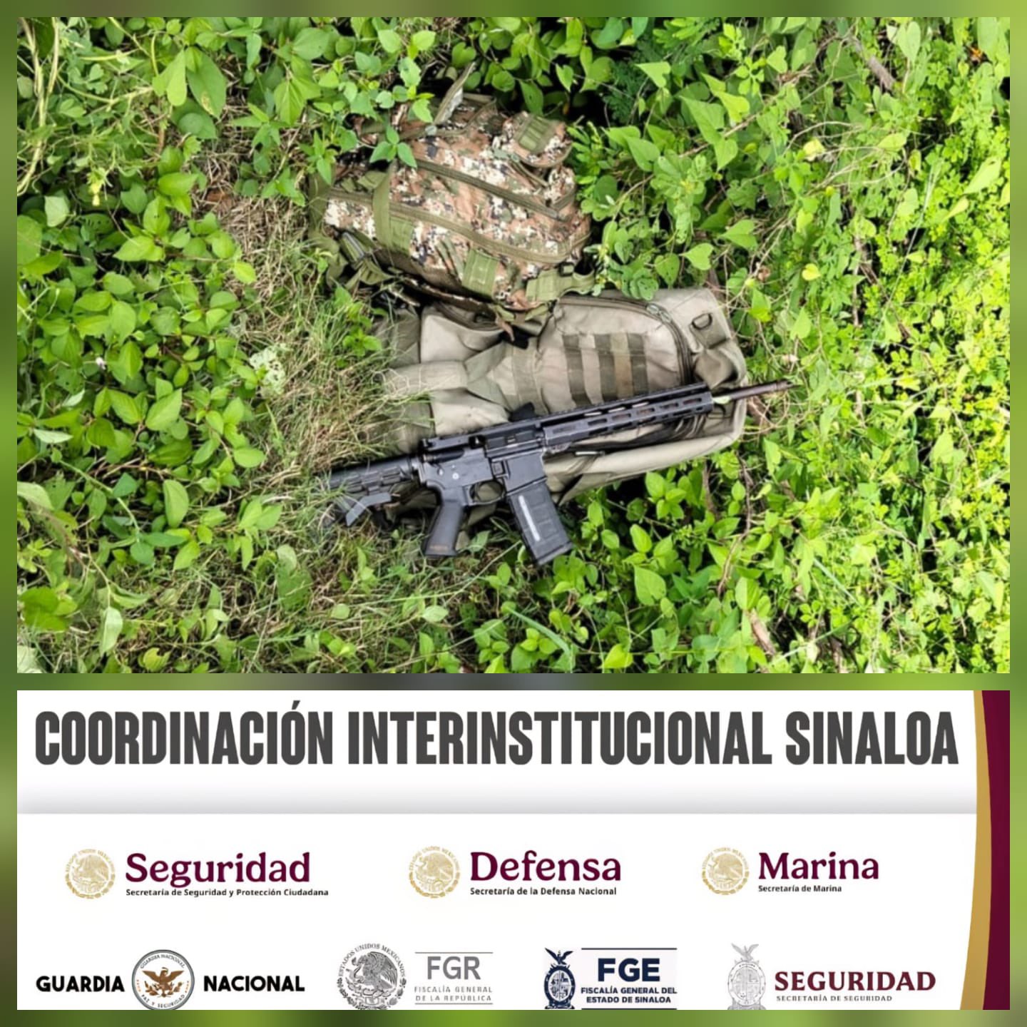 Sinaloa. Caen 11 integrantes de la fracción de Los Chapitos
