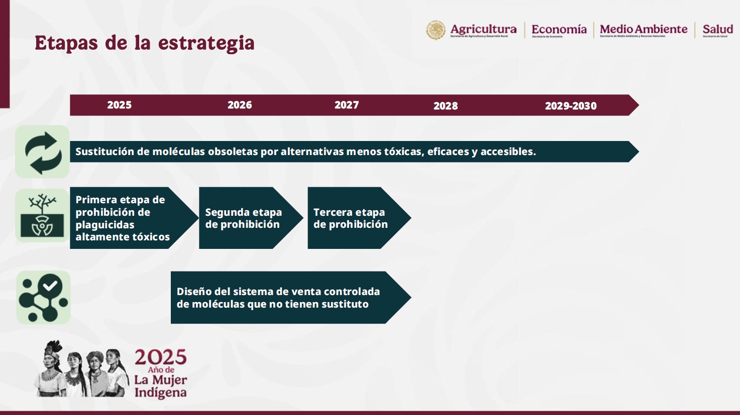 Estrategia México plaguicidas