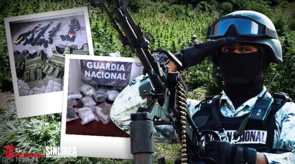 Gabinete de Seguridad decomisa más de 550 kilos de droga