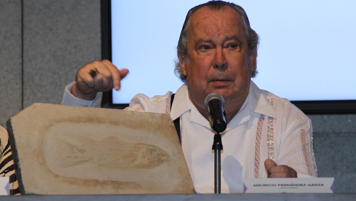 Quién fue Mauricio Fernández