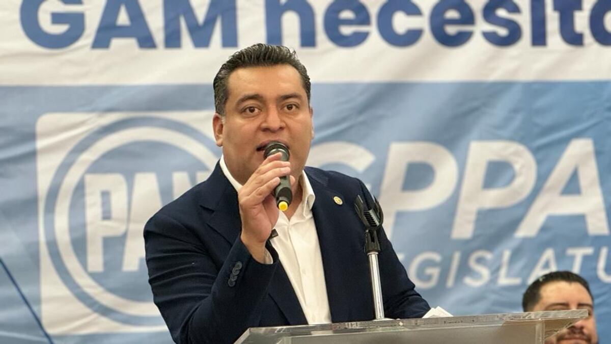 Panistas piden a ministros salvar al país de la dictadura