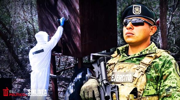 Sinaloa. Aseguran 8 narcolaboratorios y sustancias químicas