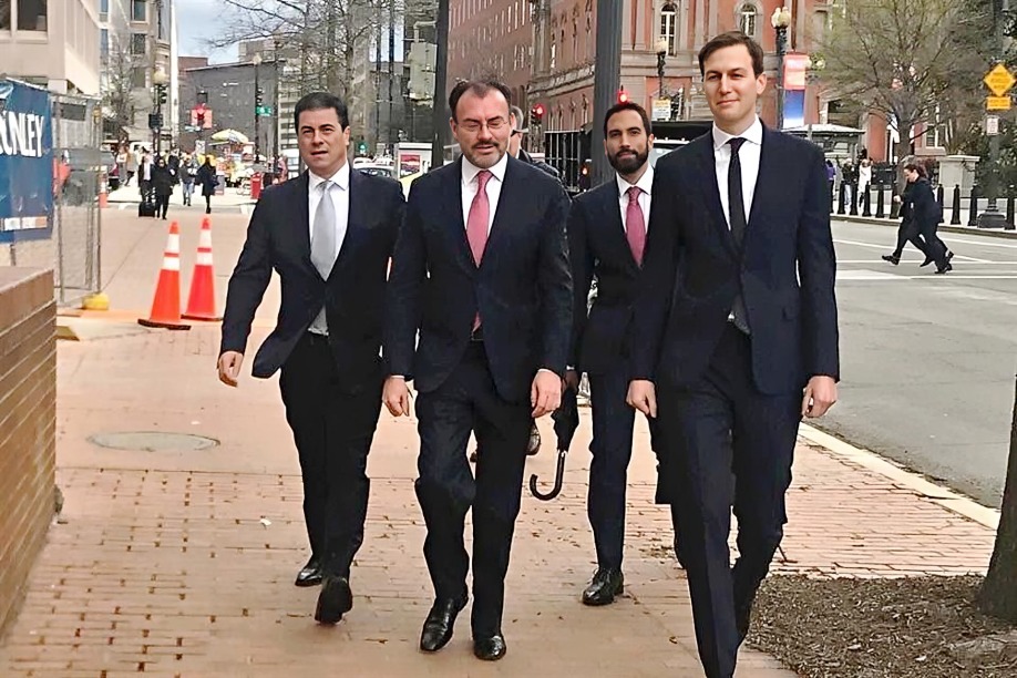 Videgaray y socio