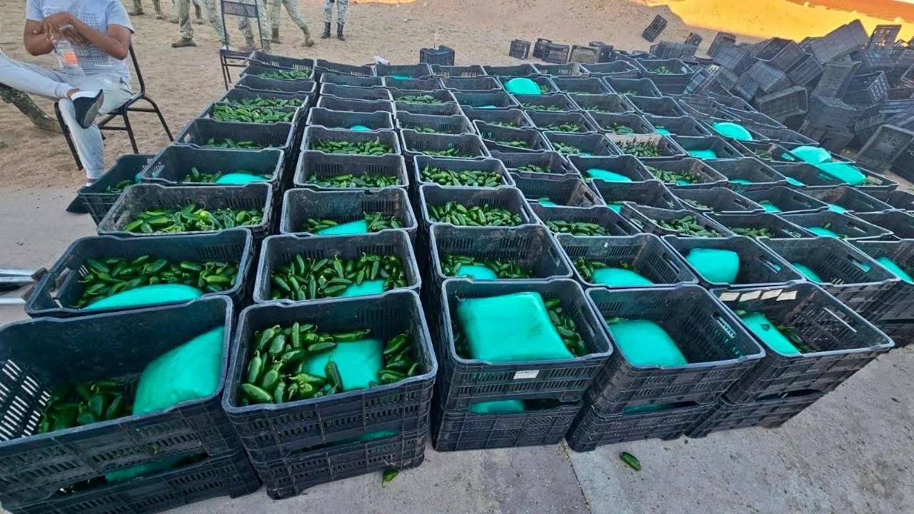 Defensa asegura tonelada de droga entre chiles