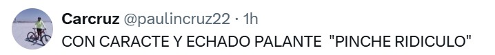 Pinche ridículo