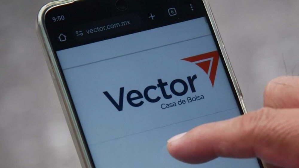 ¿Qué pasó con Vector Casa de Bolsa?