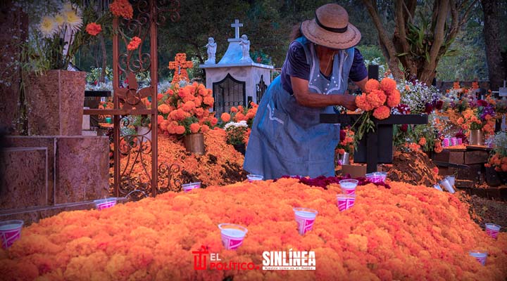 Ayuntamiento de Puebla abre centro de acopio para flor de cempasúchil