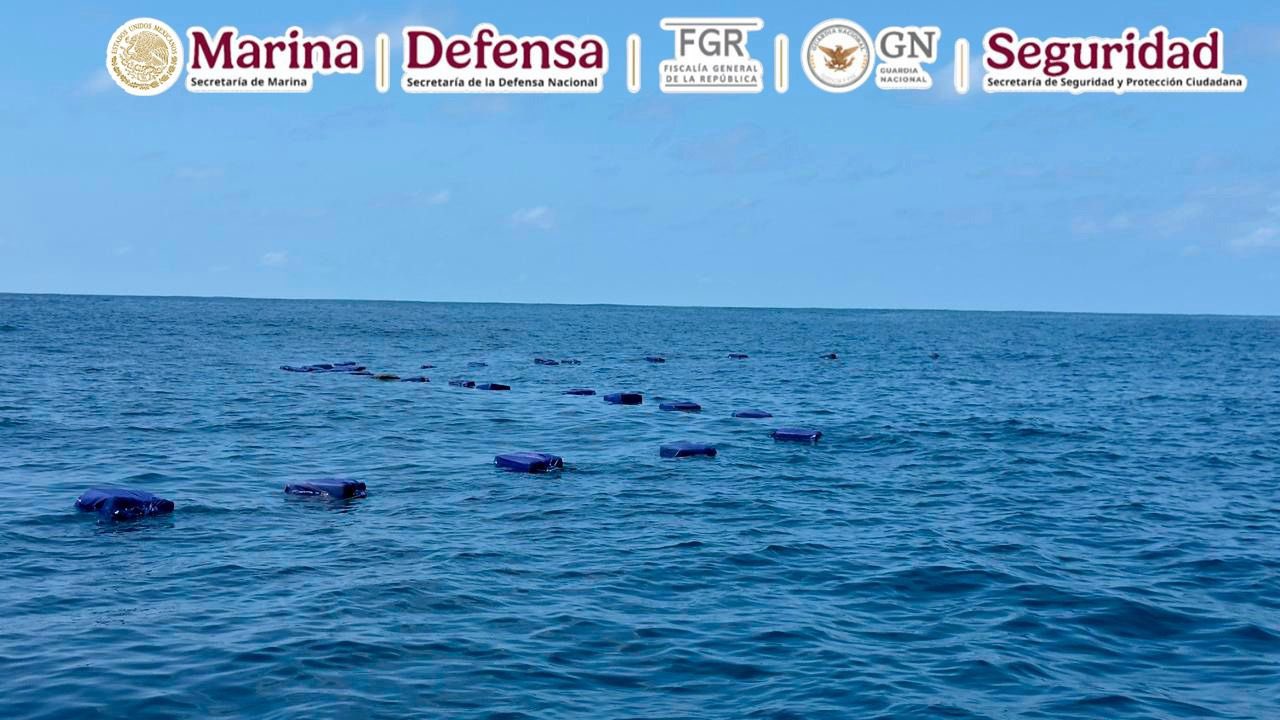 Marina decomiso masivo