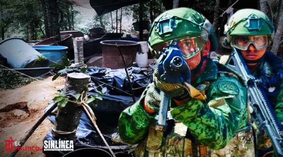Ejército desmantela 10 narcolaboratorios en Sinaloa y Sonora