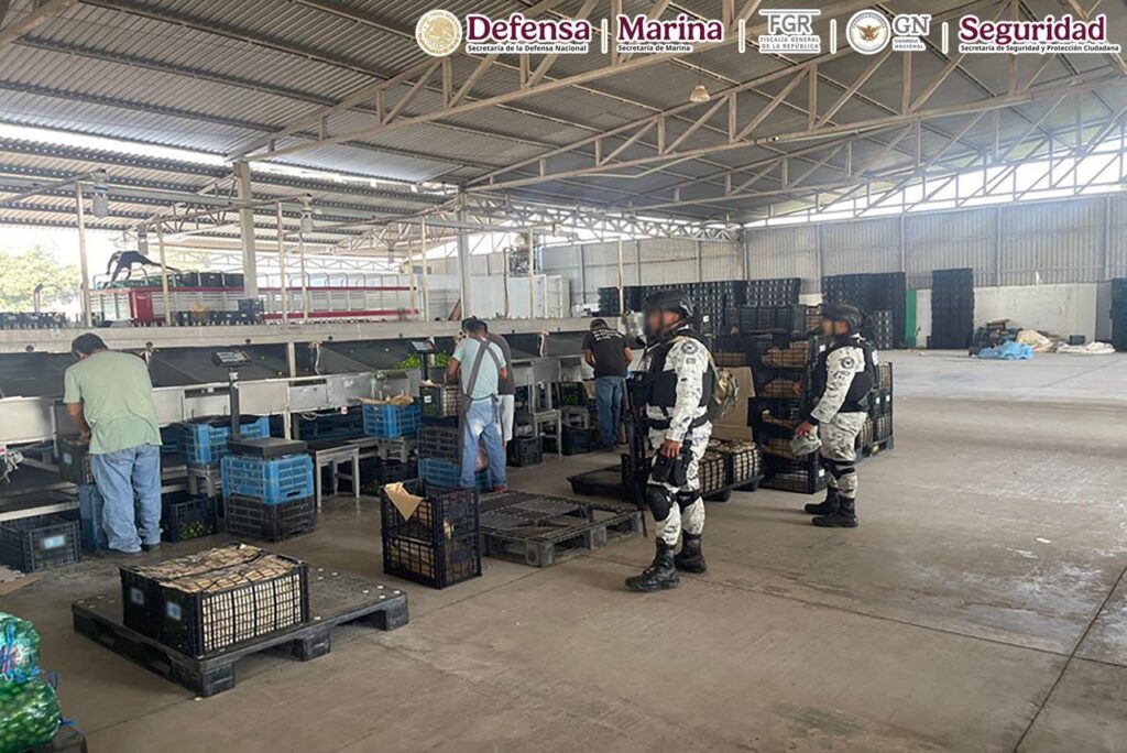 resultados Plan Michoacán