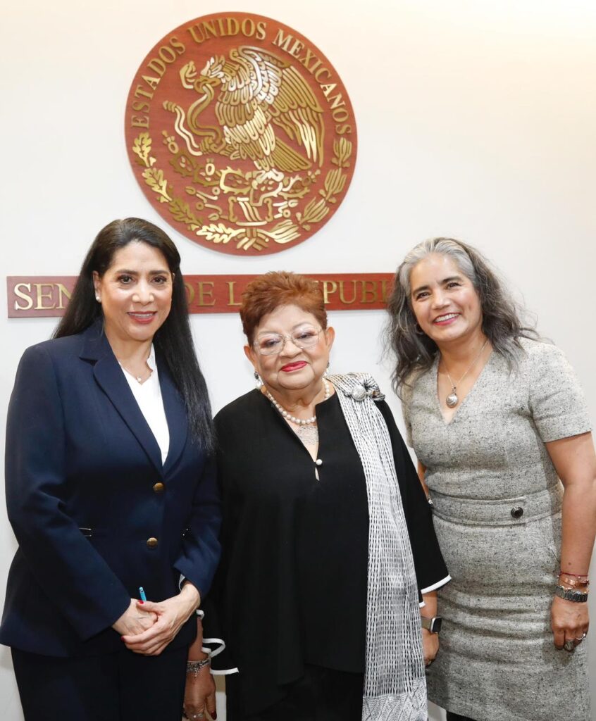 Terna del Senado FGR 