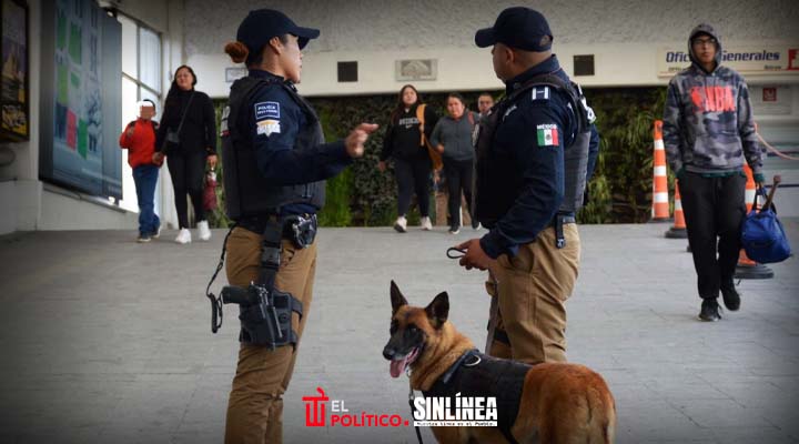 Ayuntamiento de Puebla destaca intervenciones de la Unidad Canina de la SSC