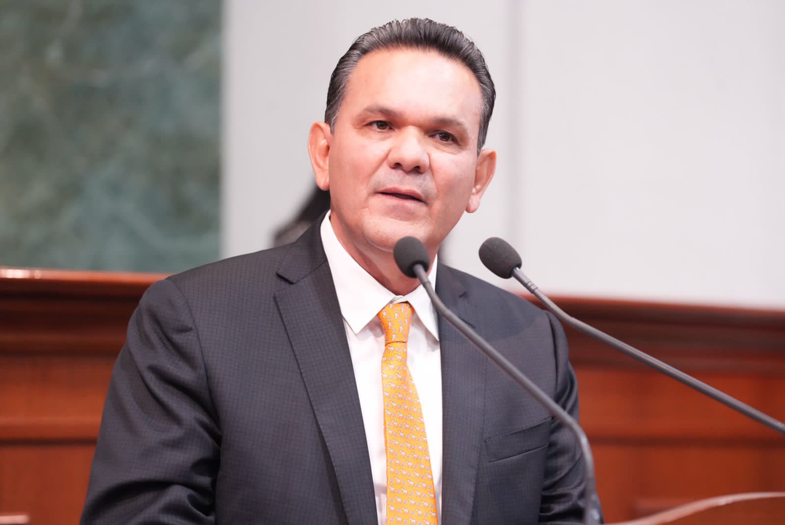 Diputado Sergio Torres Félix 