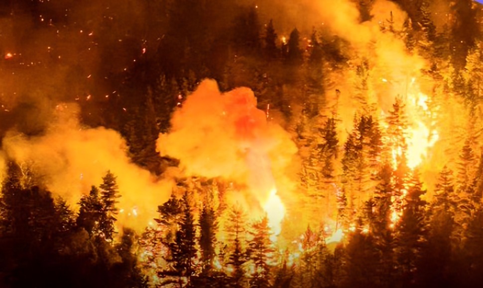 Incendios destruyen miles de hectáreas en La Patagonia