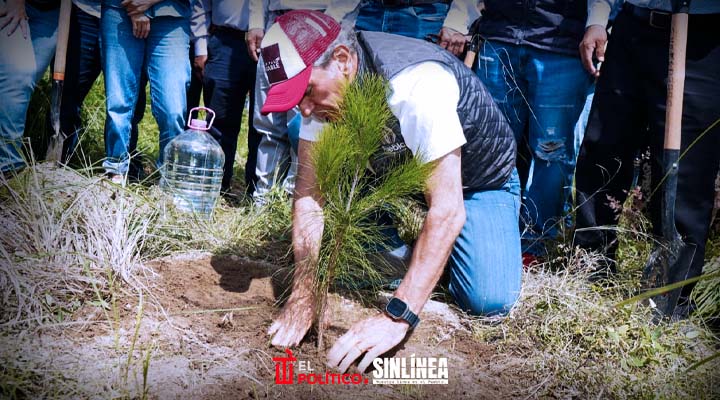 Puebla capital pantará 100 mil árboles para 2026