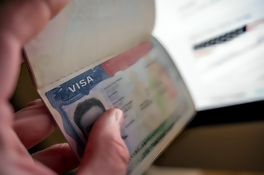 Visa EU