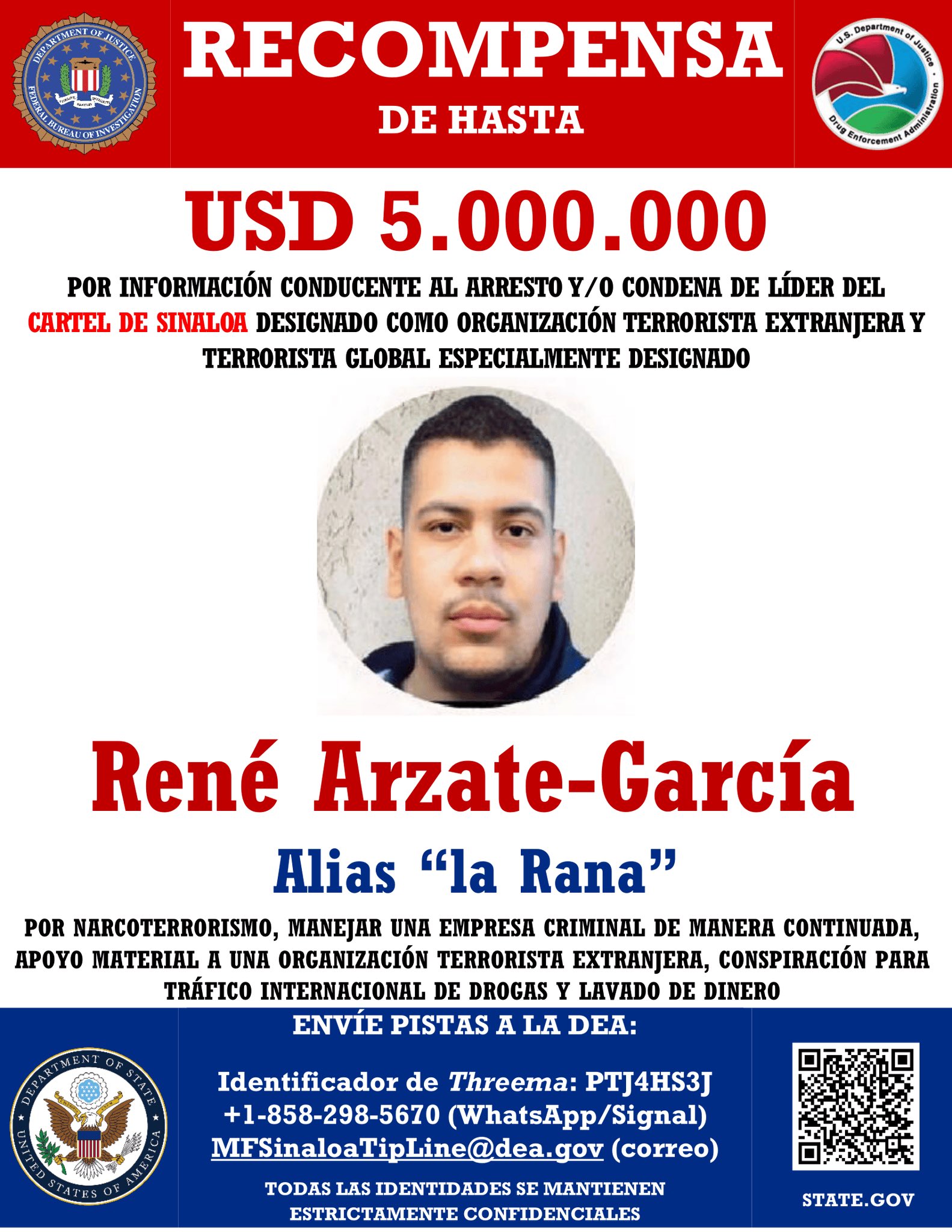 Búsqueda La Rana