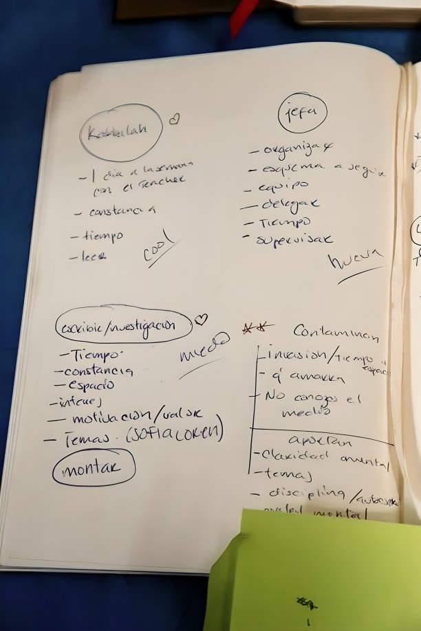 diario Karime Macías