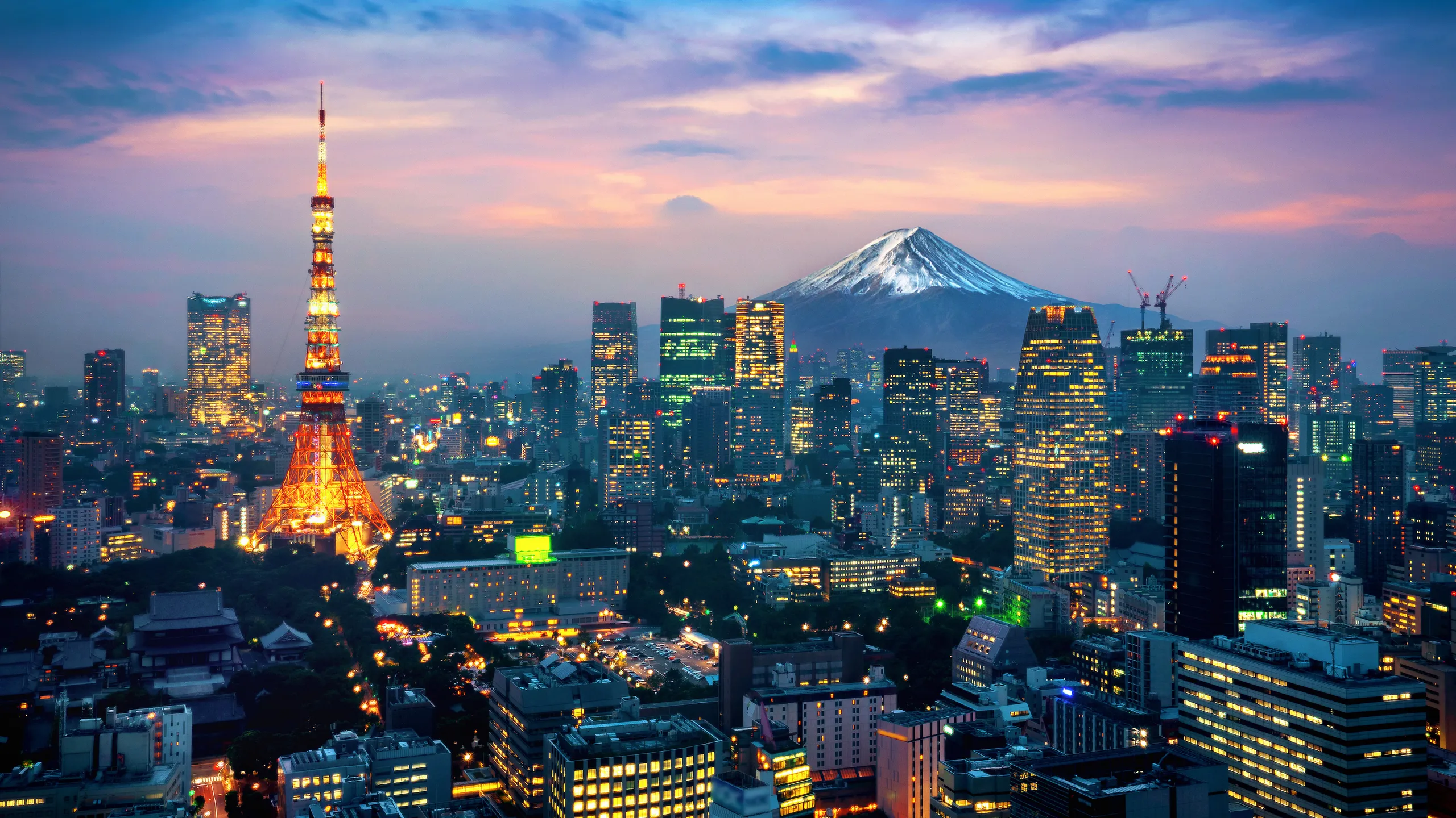 Gobierno japonés