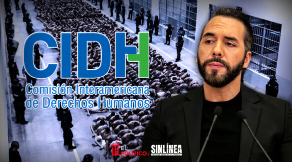 Bukele explota vs. ONG por críticas a su política de seguridad