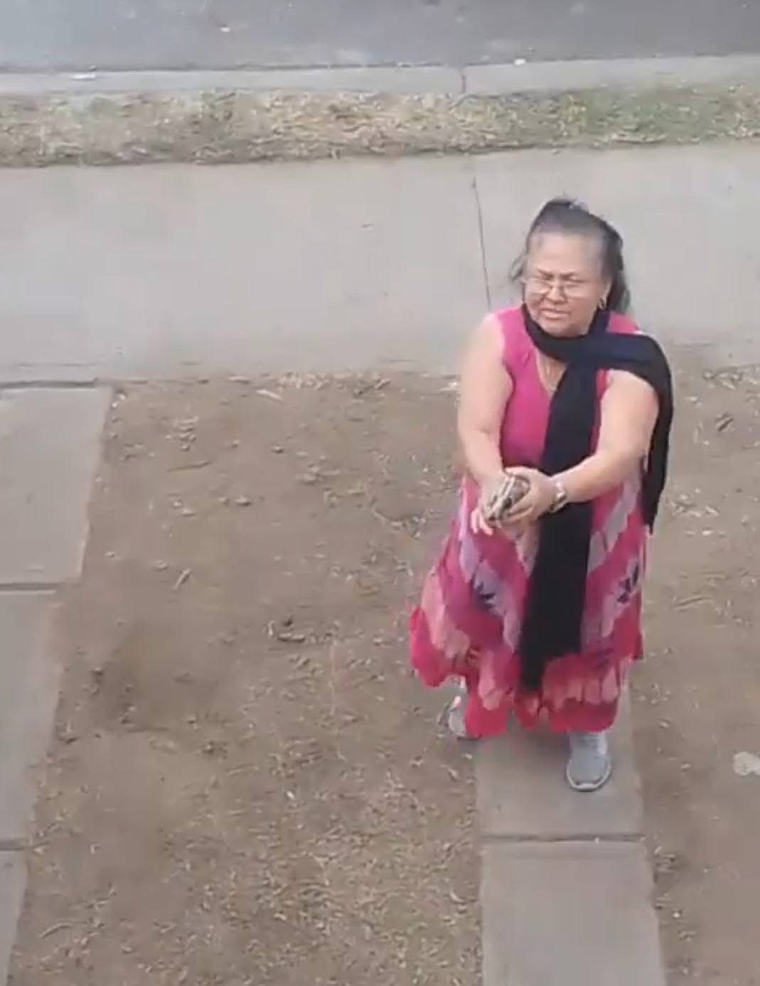 Doña Carlota video