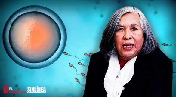 Ministra María Elena Ríos critica fecundación in vitro