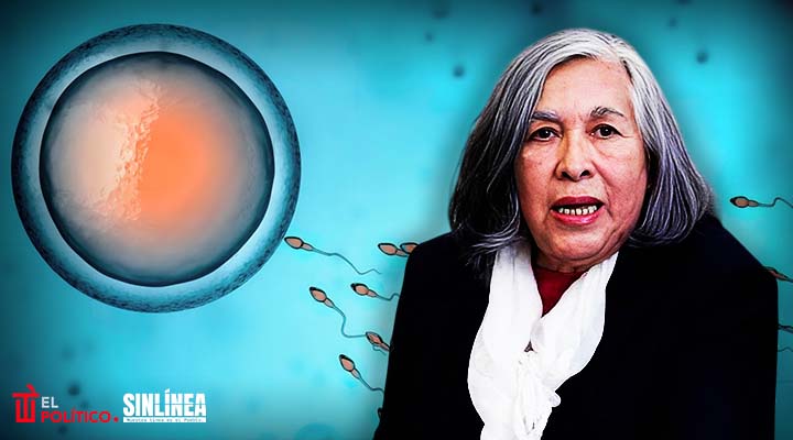 Ministra María Elena Ríos critica fecundación in vitro