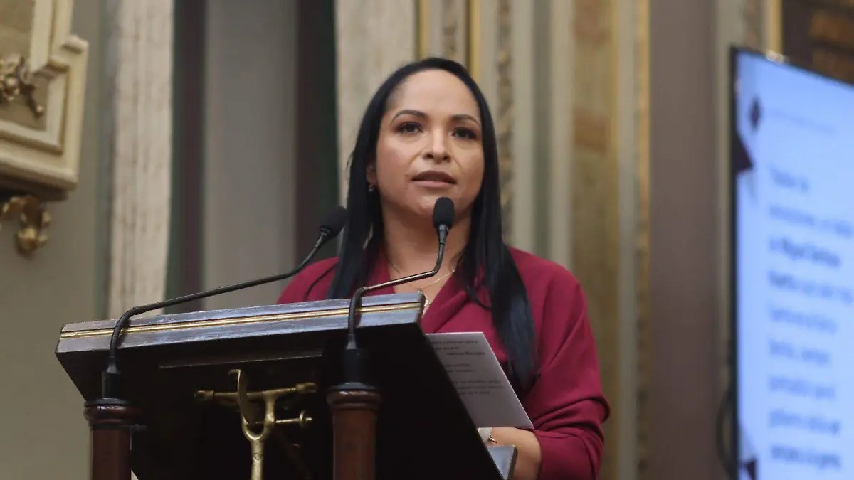Senadores del PT Lizeth