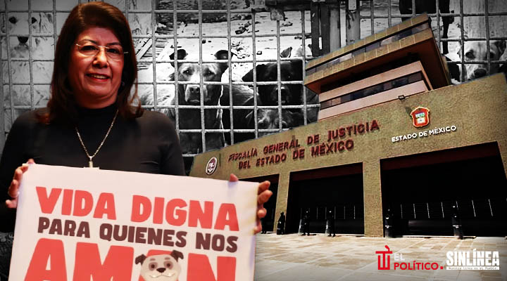 Fiscalía del Edomex abre investigación por sacrificio de 10 mil perros en Tecámac