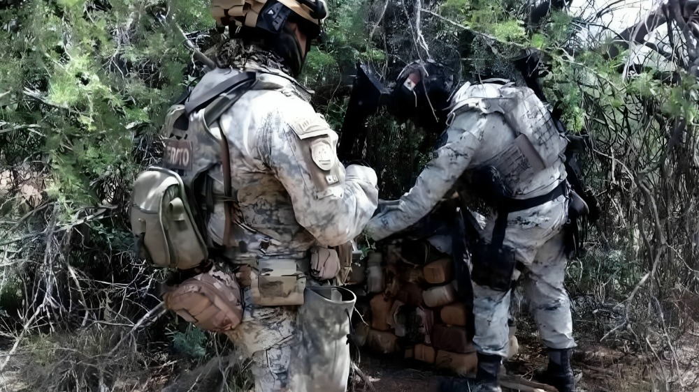 Decomisan 110 kilos de mariguana en Sinaloa
