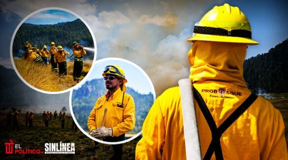 Gobierno del Edomex pide proteger bosques en Semana Santa