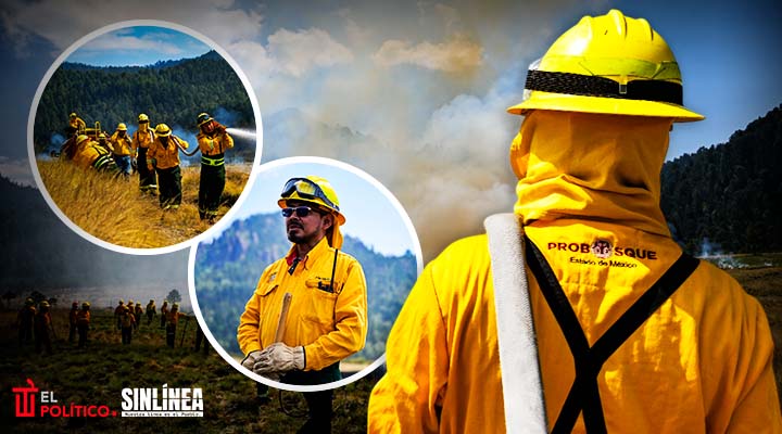 Gobierno del Edomex pide proteger bosques en Semana Santa