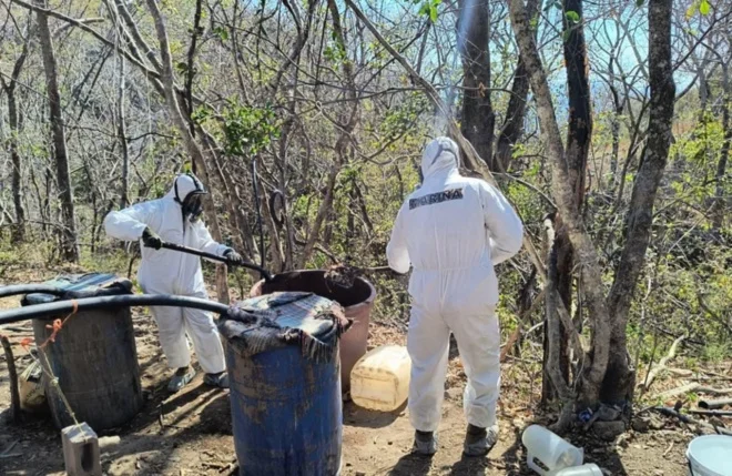 Marina neutraliza narcolaboratorio de Los Chapitos en Sinaloa