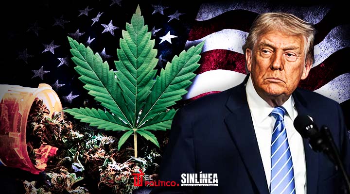 Trump reclasifica marihuana como la droga menos peligrosa
