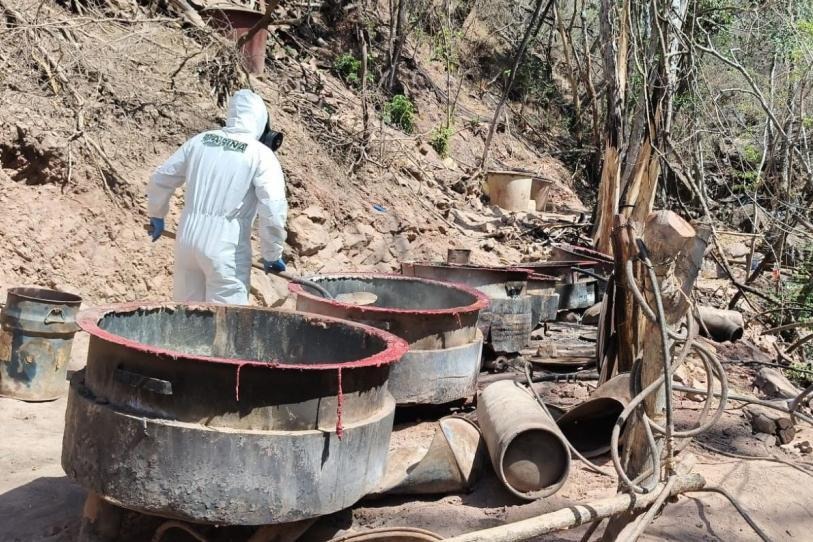 Semar da golpe al crimen: desmantela 3 narcolaboratorios de Los Mayos en Sinaloa